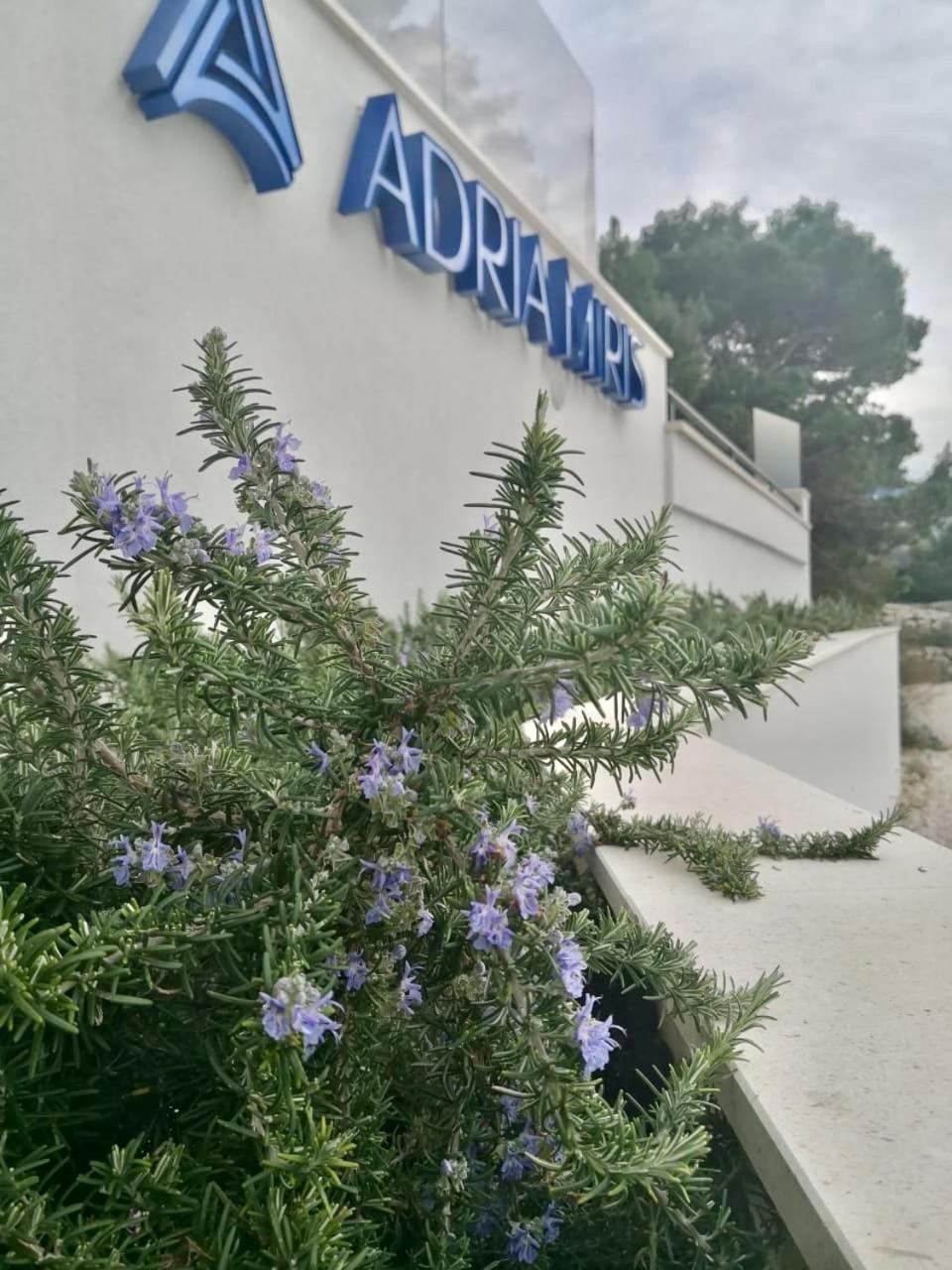 Adria Miris Apartment